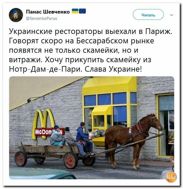 Политические вместо REXа