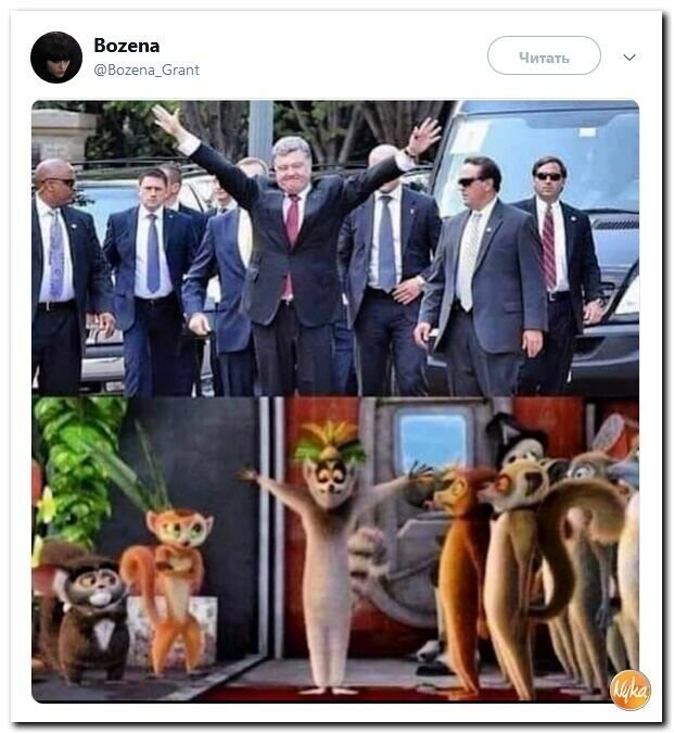 Политические вместо REXа