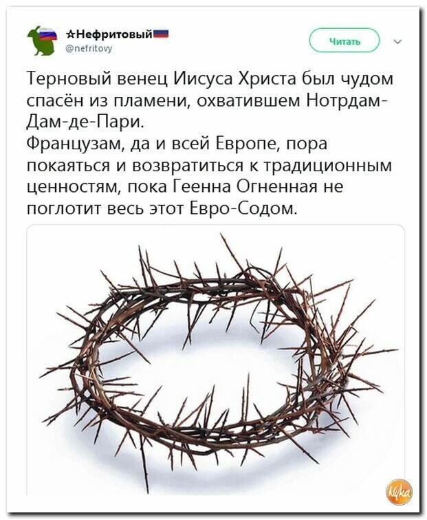 Политические вместо REXа