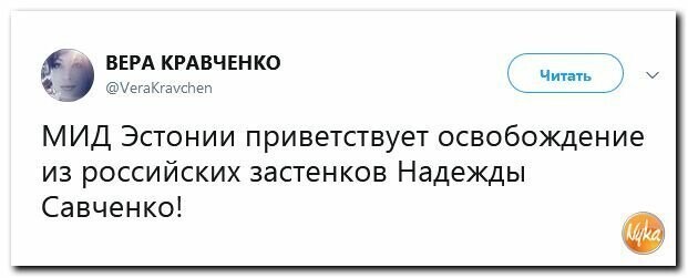 Политические вместо REXа
