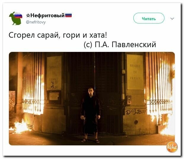 Политические вместо REXа