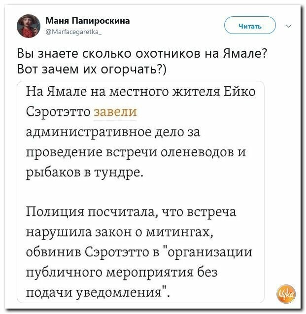 Политические вместо REXа