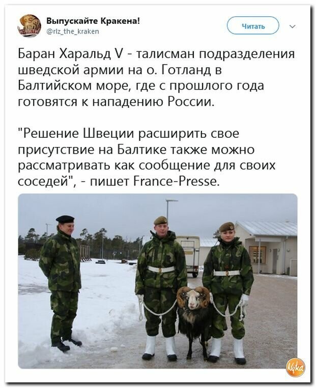 Политические вместо REXа