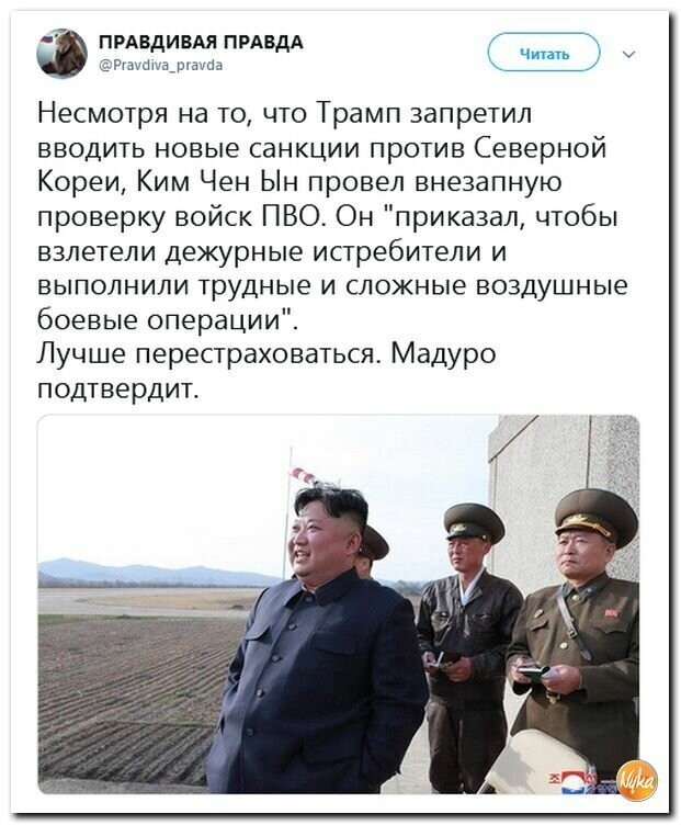 Политические вместо REXа
