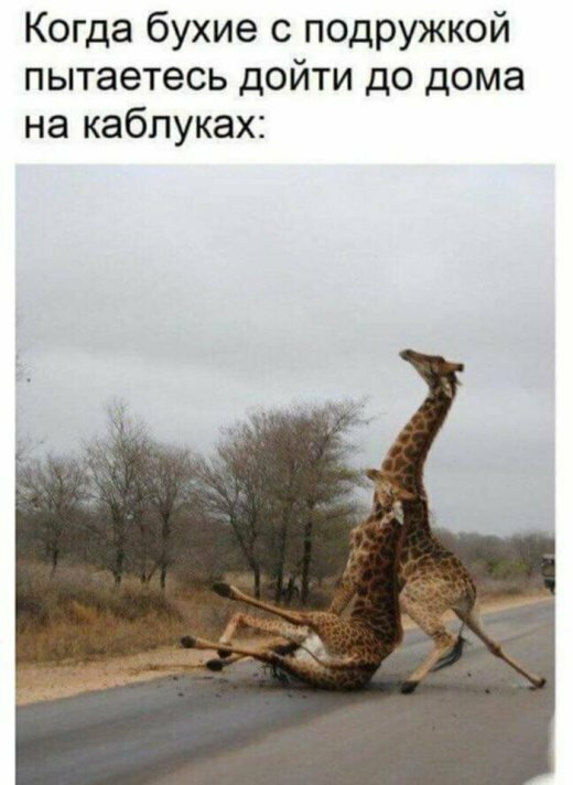 Намешалось