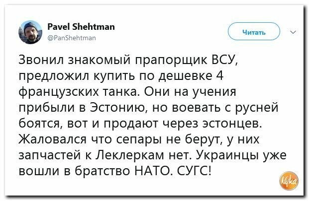 Политические вместо REXа