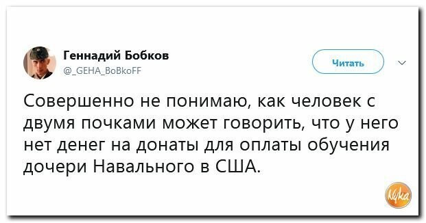 Политические вместо REXа