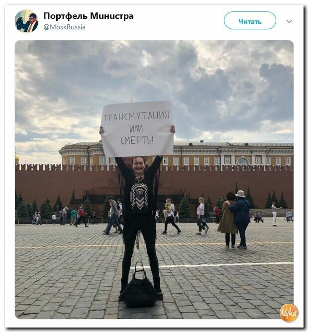 Политические вместо REXа