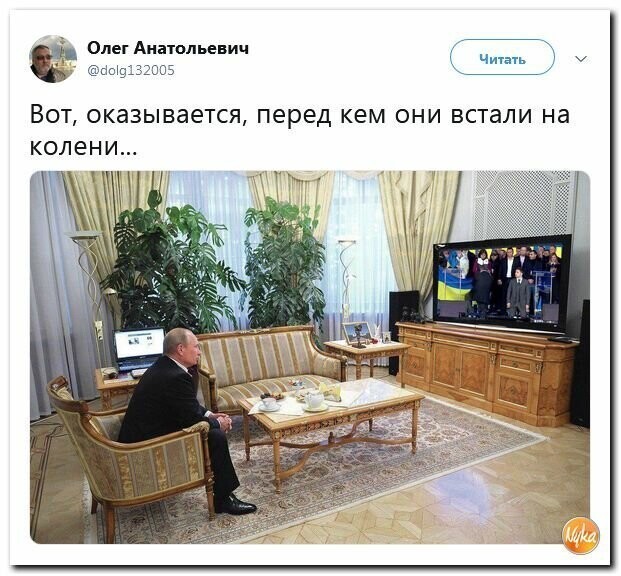 Политические вместо REXа