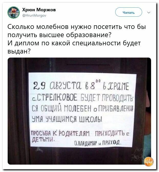 Политические вместо REXа