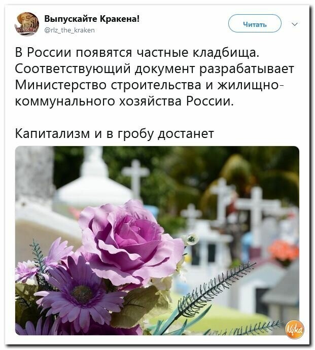Политические вместо REXа