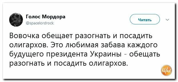 Политические вместо REXа