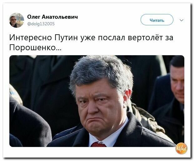 Политические картинки