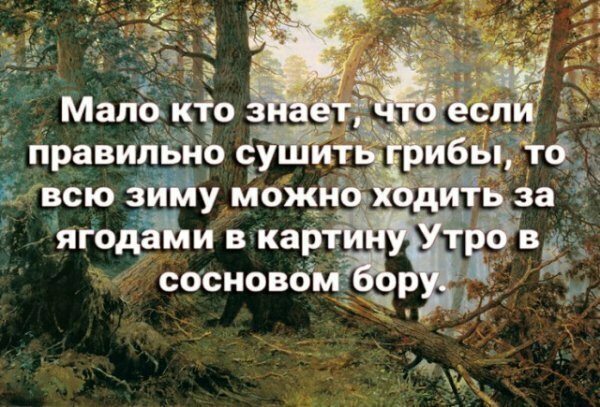 Картинки с надписями от serioga888 за 22 апреля 2019