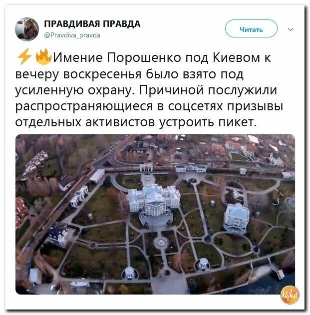 Политические картинки
