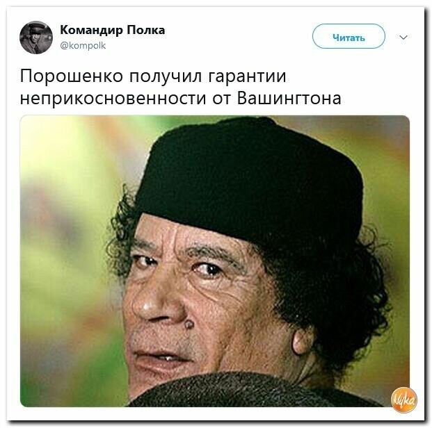 Политические картинки