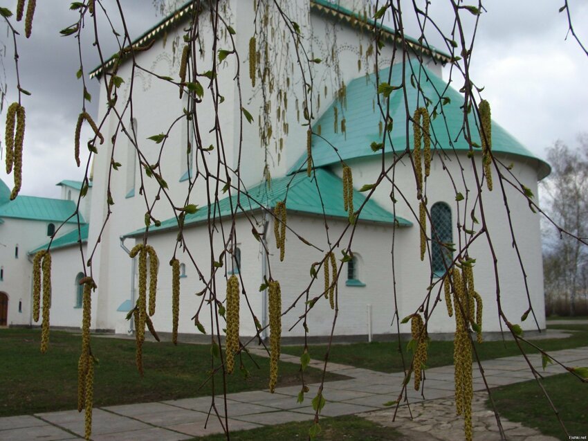 Весна на Куликовом поле