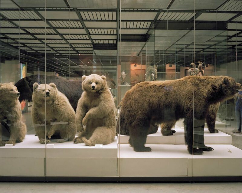 Потерянные во времени: фотографии из московских музеев