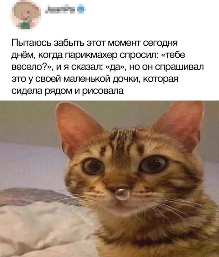 Скрины из социальных сетей