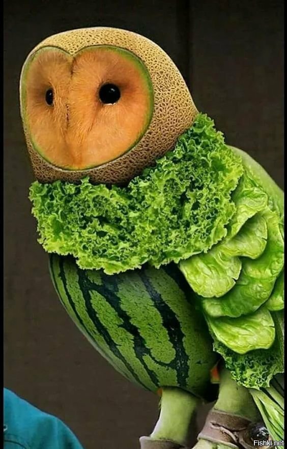 Солянка