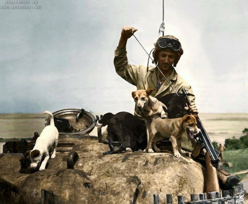 Американский танкист чистит оружие в компании своих друзей. 1945. Окинава.