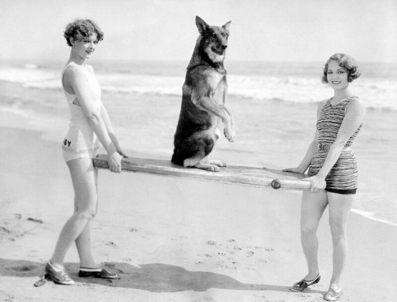 Серфингистки с собакой. 1928