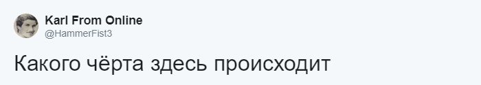 Фото быстро набрало множество комментариев и репостов, став вирусным. И все задавались одним и тем же вопросом