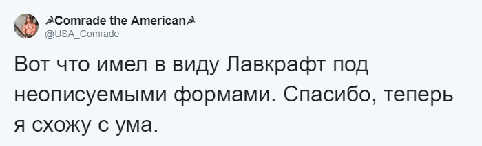 Этот снимок озадачивает людей невозможностью понять, что на нём изображено