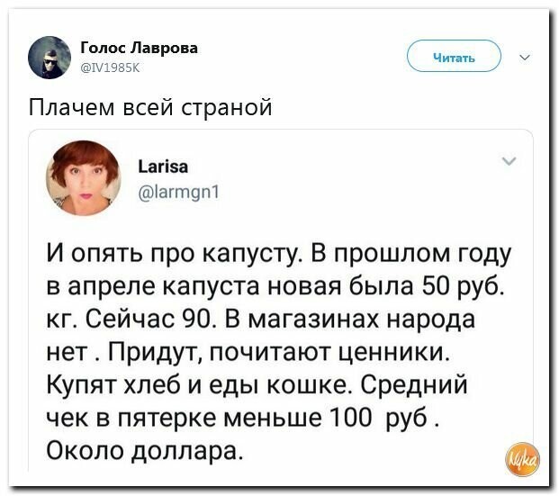 Политические картинки