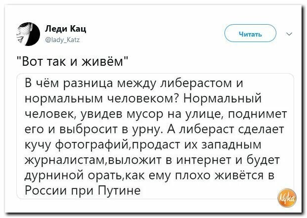 Политические картинки