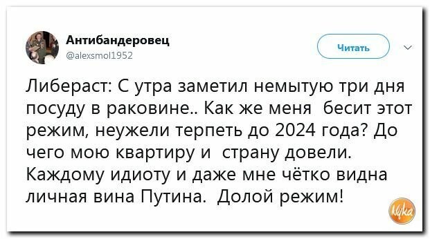 Политические картинки
