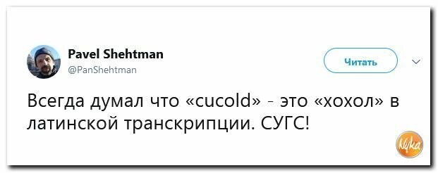 Политические картинки