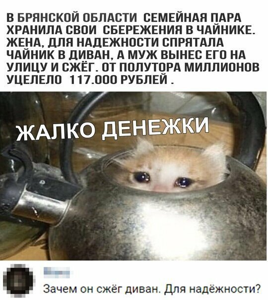 Прикольные и смешные картинки