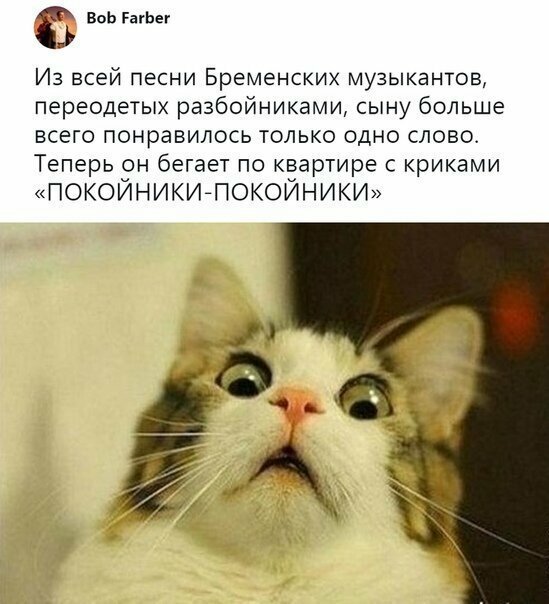 Прикольные и смешные картинки