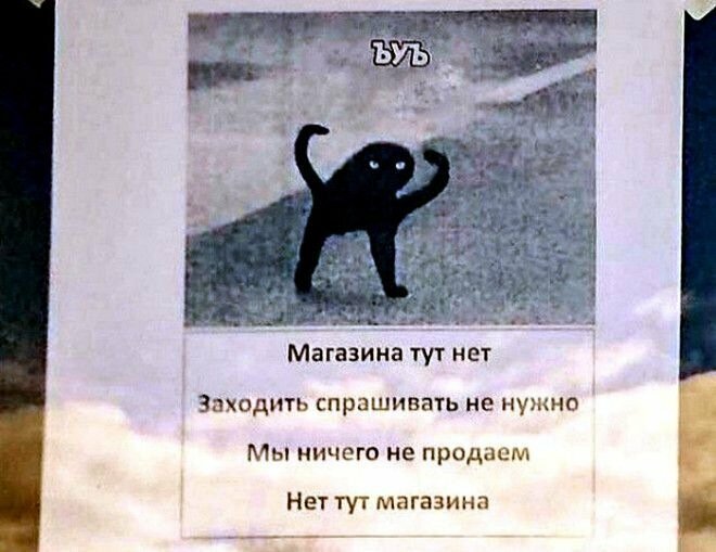 14. Так и хочется войти и спросить, что это за существо на картинке, и о чем оно говорит