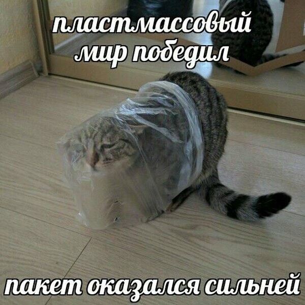 Намешалось