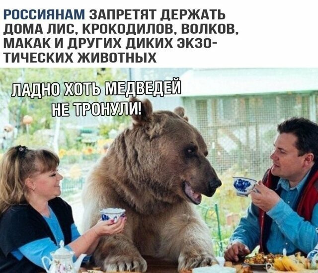 Намешалось