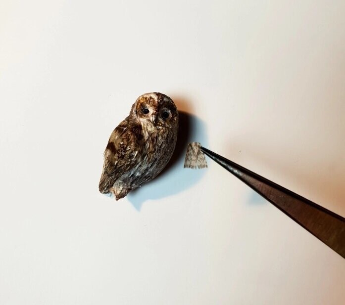 Реалистичные микро-фигурки птиц из глины и перьев