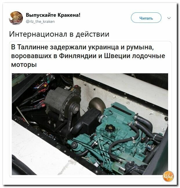 Политические картинки