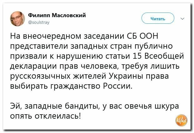 Политические картинки