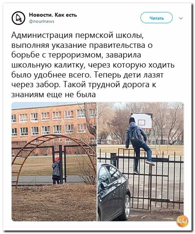 Политические картинки