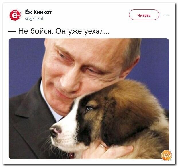Политические картинки