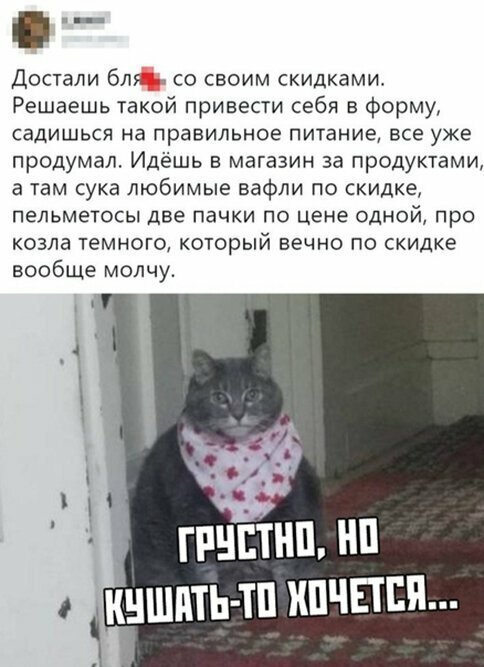 Прикольные и смешные картинки