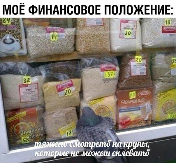 Прикольные и смешные картинки