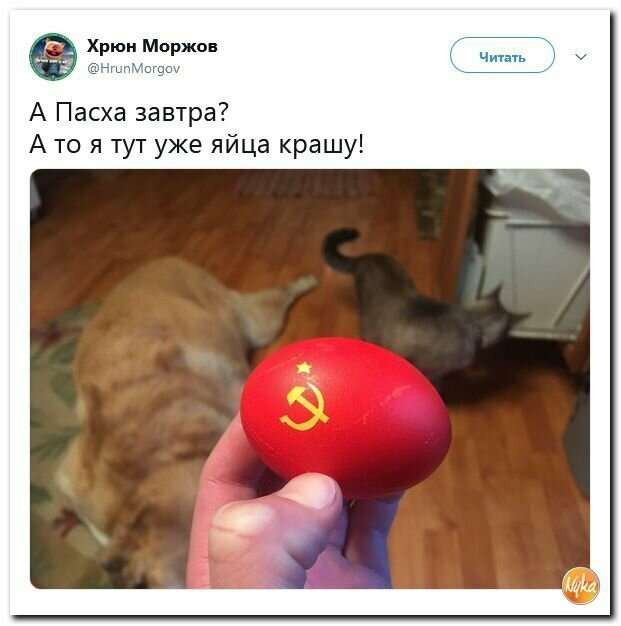 Политические картинки