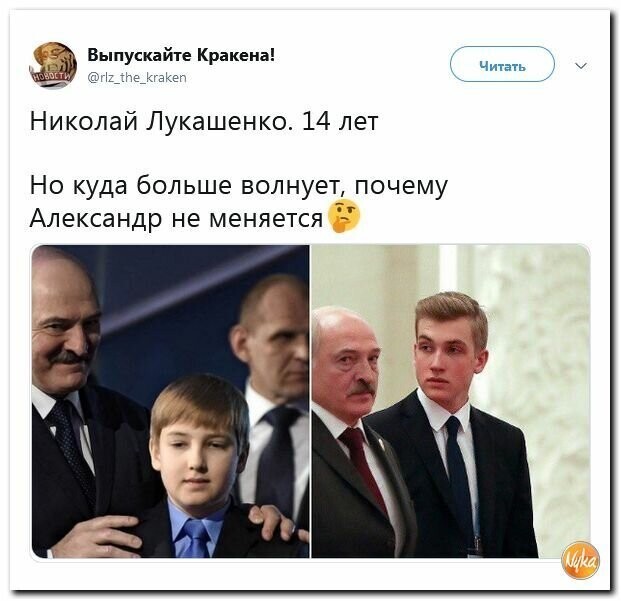 Политические картинки