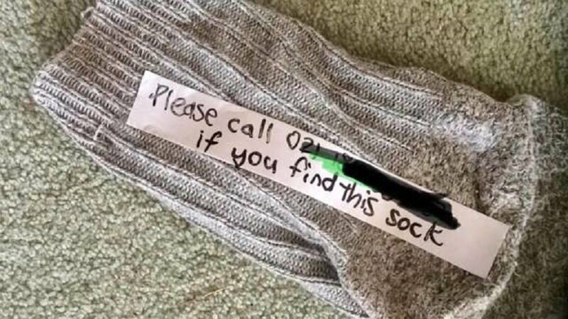 Женщина с помощью записки искала, кто ворует носки, и вышла на соседского кота