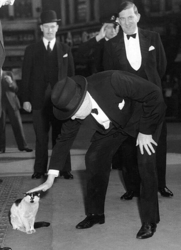 Даже если ты Уинстон Черчилль, нельзя просто так взять и пройти мимо котика. Лондон, 1952 г.