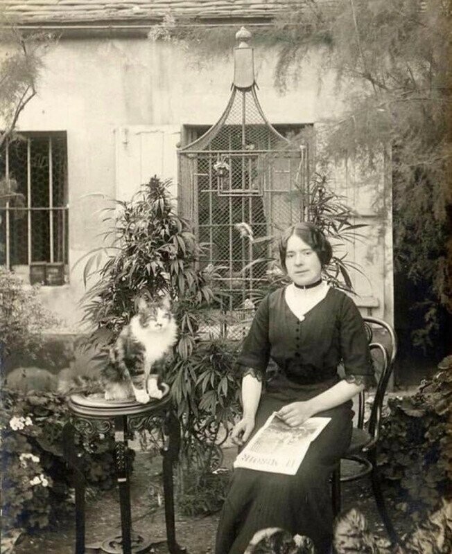 Девушка, котик и интересный кустик, Париж, 1910-е