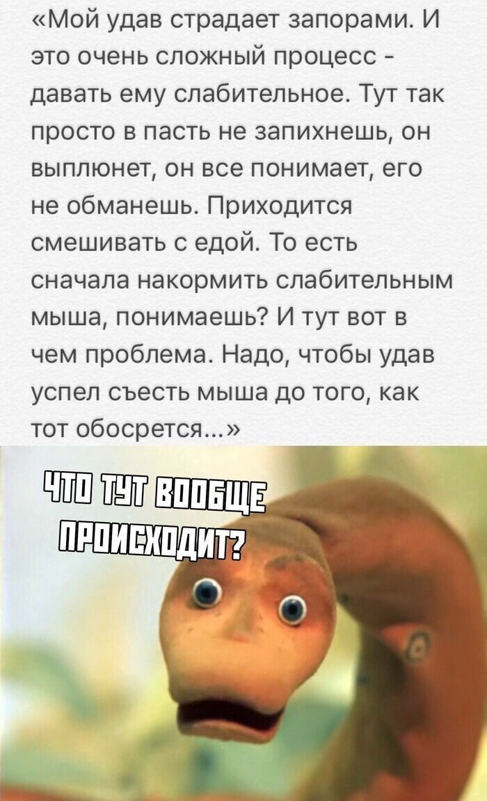 Скрины из социальных сетей